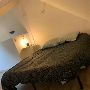 Appartement Charmant Duplex De 28m2 En Plein Centre, Tarbes
